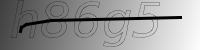 captcha verification