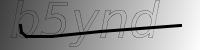 captcha verification