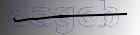 captcha verification